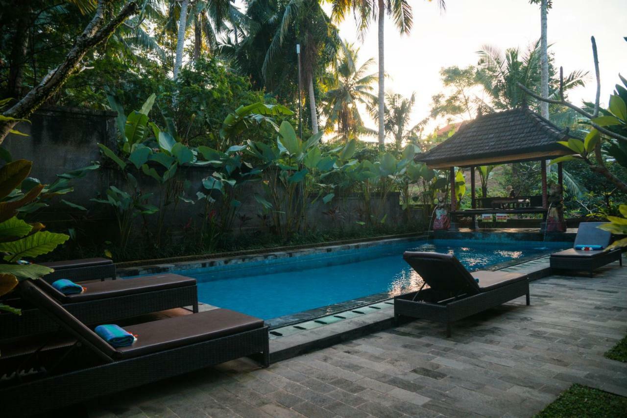 गेस्ट हाउस Alam Terrace Ubud (Bali)
